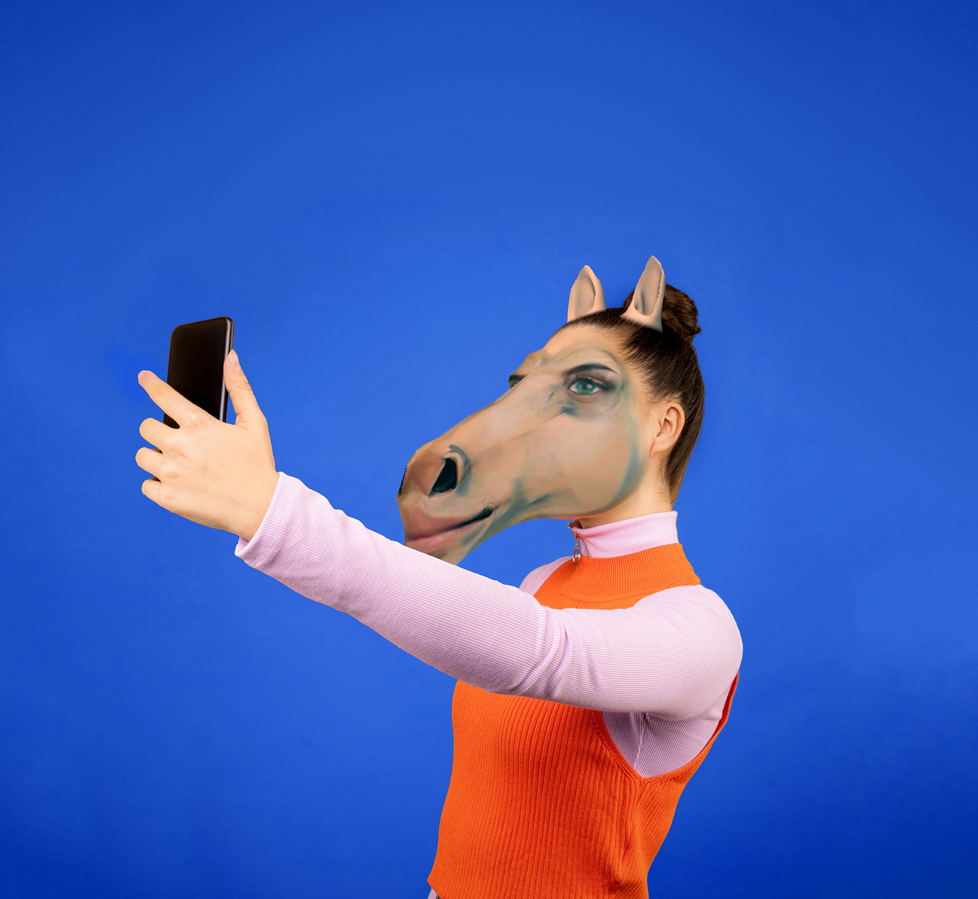  Horse Morph 